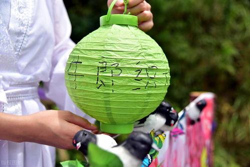 七夕节吃瓜现场视频,现场视频大揭秘