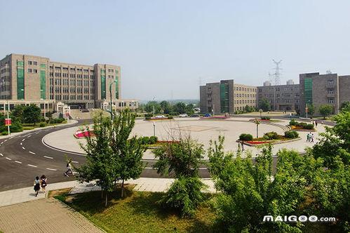 沈阳工学院吃瓜视频,校园生活趣味瞬间大揭秘