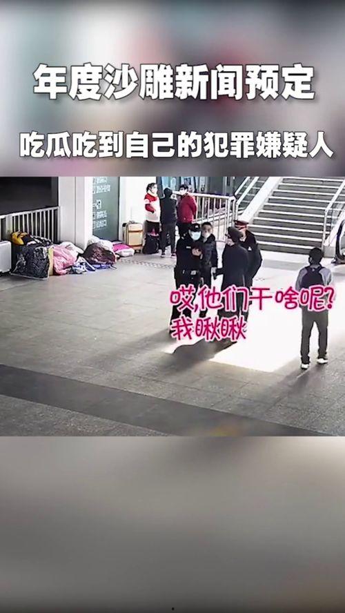 好奇害死猫吃瓜视频,揭秘吃瓜视频背后的真相与争议