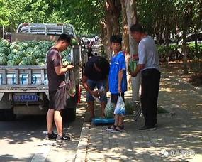 襄城吃瓜群众事件视频曝光,视频曝光揭示惊人真相