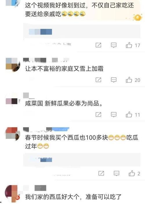 瓜瓜吃瓜无生试讲视频,揭秘网络热梗背后的趣味与思考