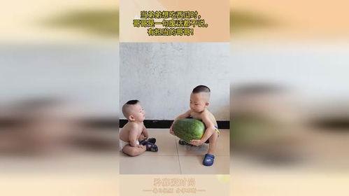 哥哥弟弟吃瓜视频网站,揭秘吃瓜视频网站背后的故事