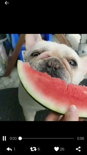 吃瓜群众比心视频,趣味横生的网络现象解析