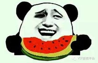 吃瓜群众比心视频,趣味横生的网络现象解析