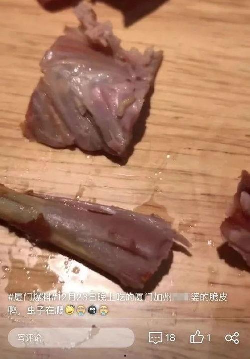 瓜蛆可以吃吗有毒吗视频,揭秘其毒性及食用风险