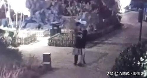 石狮吃瓜事件视频完整版,一场引发全网热议的惊人真相揭秘