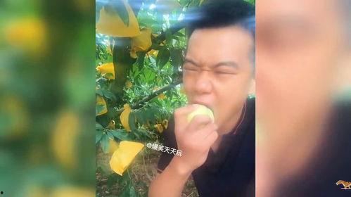 吃瓜带货搞笑视频,搞笑视频带你领略趣味购物新体验