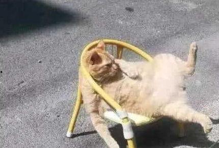 宿舍沙雕视频带你吃瓜,带你一窥校园吃瓜风云