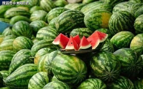 特色奇葩吃瓜视频下载,特色奇葩吃瓜视频大汇总