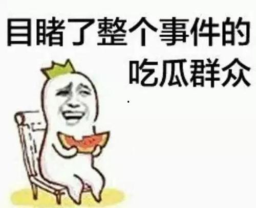 吃瓜群众戴墨镜视频大全,揭秘热门视频背后的趣味瞬间