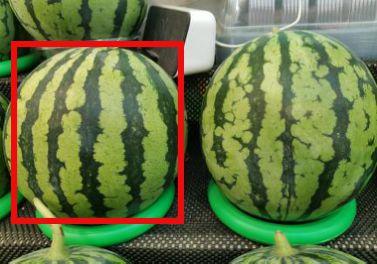 吃瓜大片怎么拍视频的教程,吃瓜大片视频拍摄教程全解析