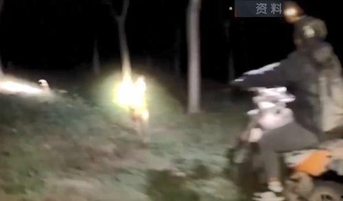 吃瓜围观第一视角视频,吃瓜围观现场直击