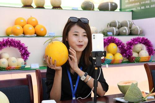 蜜瓜吃货主播视频,一场甜蜜的美食盛宴