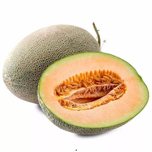 靓仔吃蜜瓜视频下载安装,轻松享受甜蜜时光