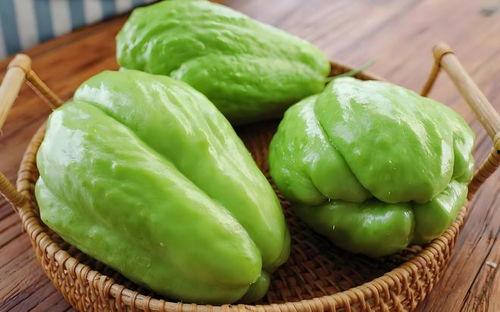 野猪吃佛手瓜视频大全集,佛手瓜视频大全集趣味盘点