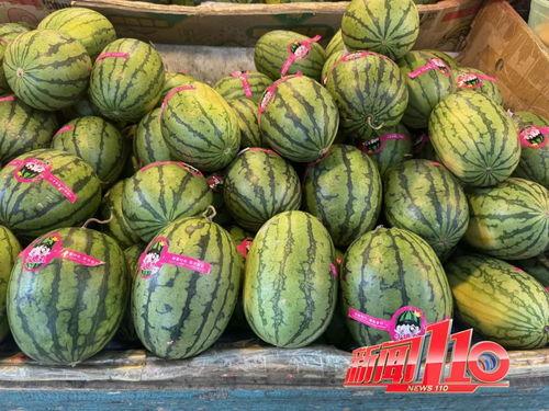 瓜没人吃吗视频