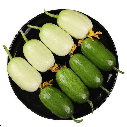 药瓜怎么吃最好吃视频,视频教你如何烹饪最佳口感