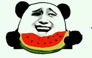 落落熊吃瓜的视频,揭秘娱乐圈幕后故事