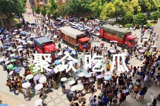 各大高校吃瓜视频,揭秘校园吃瓜视频背后的故事