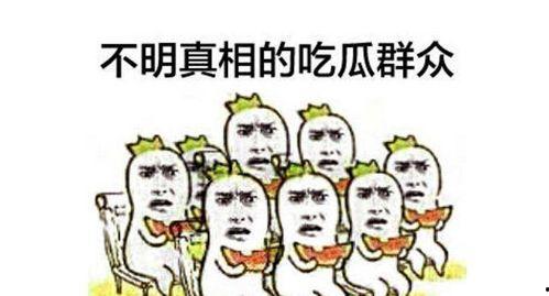 吃瓜群众专用音乐视频,揭秘吃瓜群众专用音乐视频的魅力